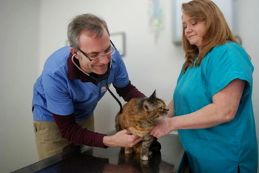 All Creatures Small Animal Hospital image