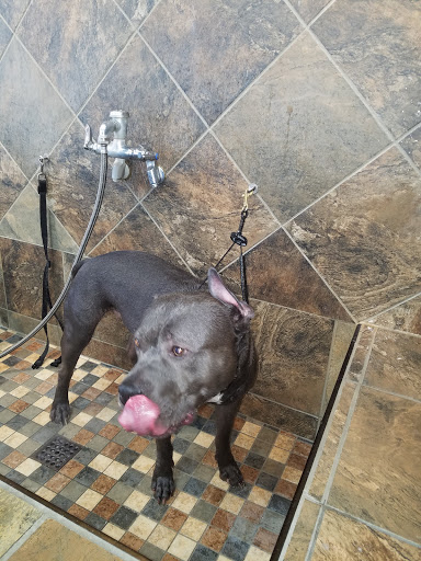 Pet Store «Pet Valu», reviews and photos, 1091 Mill Creek Rd #5a, Allentown, PA 18106, USA