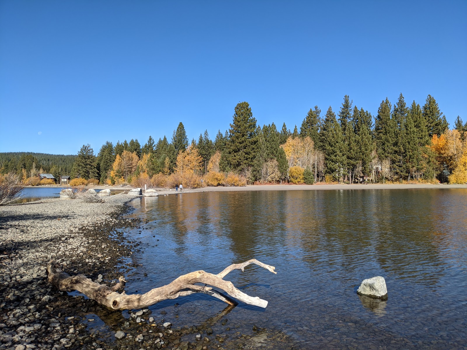 Lake Forest Beach photo #8