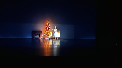 Performing Arts Theater «Carl J. Murphy Fine Arts Center», reviews and photos, 2201 Argonne Dr, Baltimore, MD 21218, USA