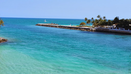 Park «Haulover Park», reviews and photos, 10800 Collins Ave, Miami Beach, FL 33154, USA