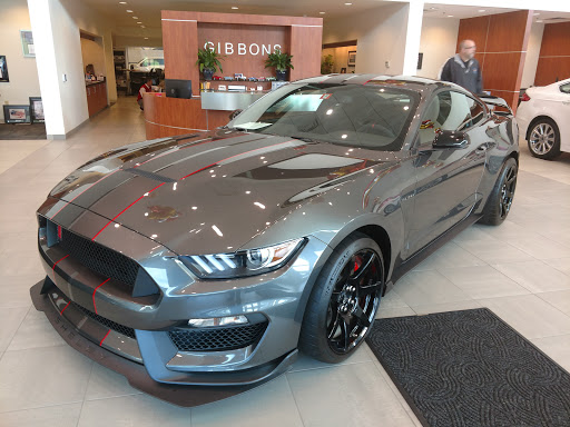 Ford Dealer «Gibbons Ford», reviews and photos