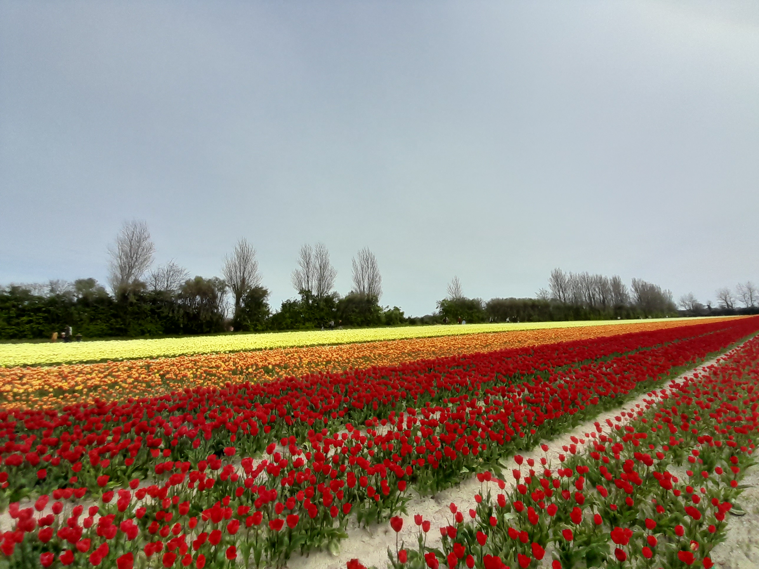 Photo n° 10 de l'avis de Amélie.e fait le 20/04/2023 à 05:00