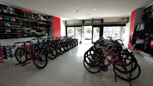 Avaliações doVilela Bike Store em Valongo - Loja de bicicleta