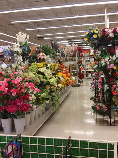 Craft Store «Michaels», reviews and photos, 1940 Jonesboro Rd, McDonough, GA 30253, USA