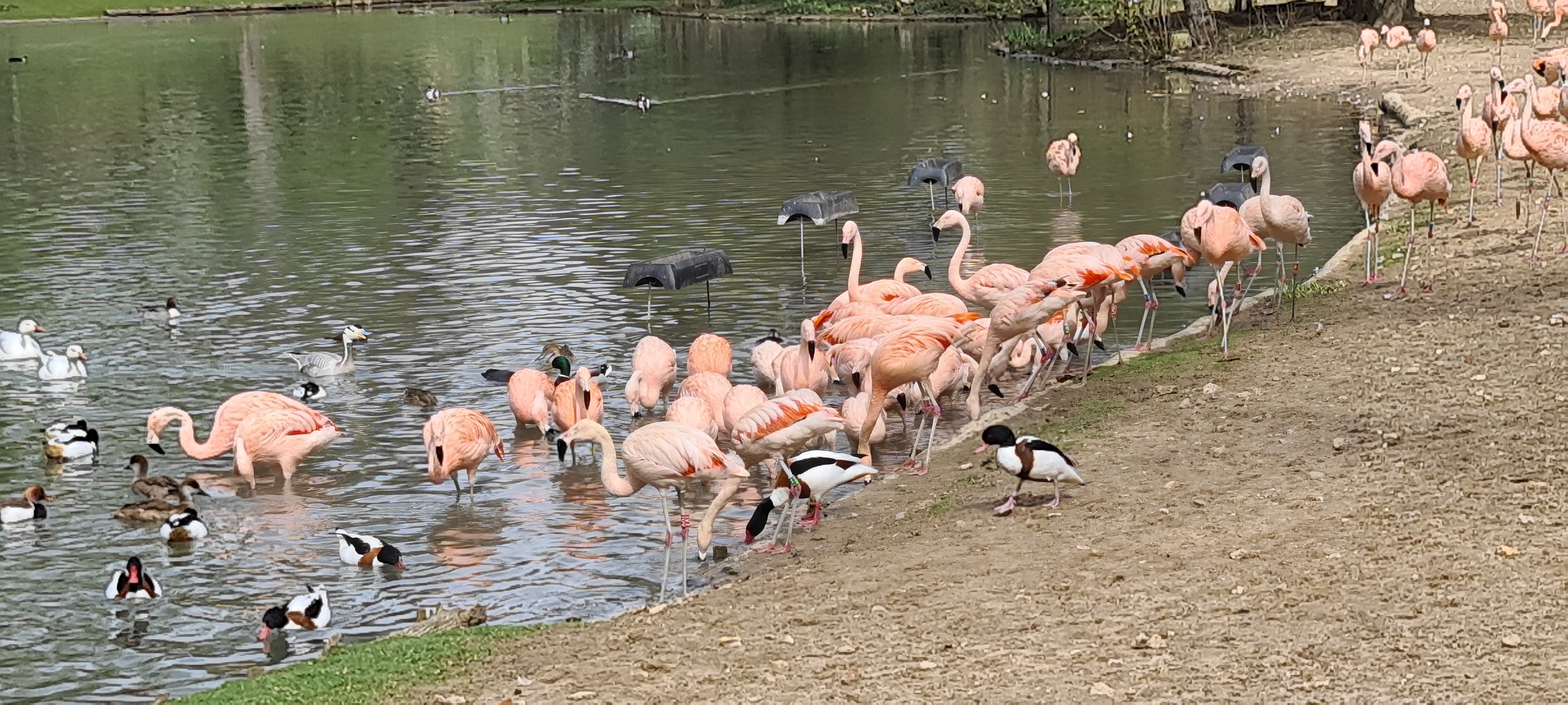 Photo n° 17 de l'avis de René.E fait le 14/04/2022 à 20:28