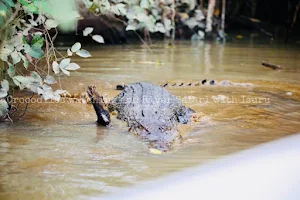 Crocodiles watching and River Safari with Isuru image