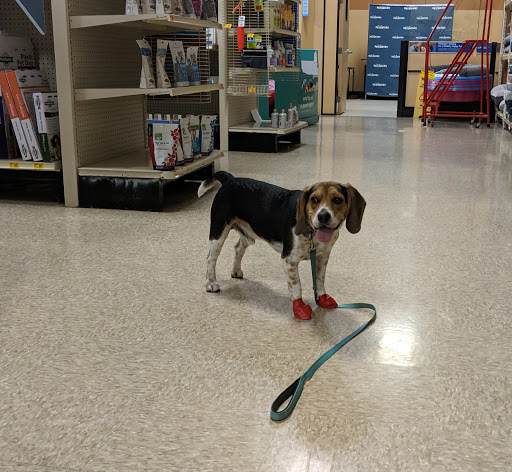 Pet Supply Store «PetSmart», reviews and photos, 1241 Point Mallard Pkwy, Decatur, AL 35601, USA