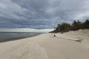 Plaża zachodnia Łeba image