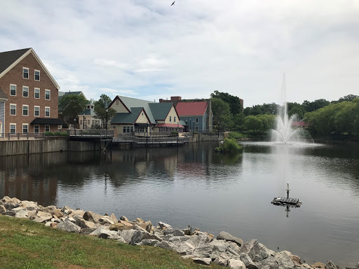 Insurance Agency «Ed Setliff - State Farm Insurance Agent», reviews and photos