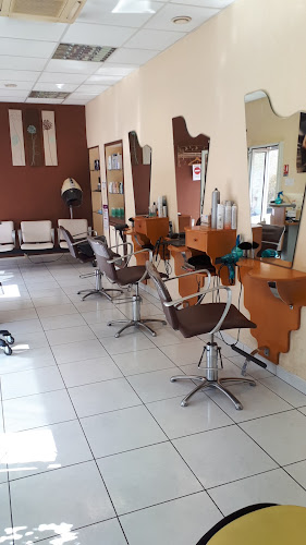 Salon de coiffure Elle & Lui Coiffure Valdivienne