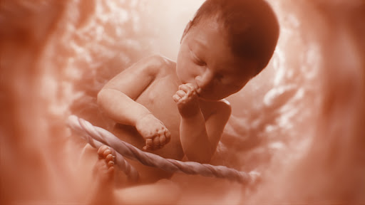 My Spiritual Adoption