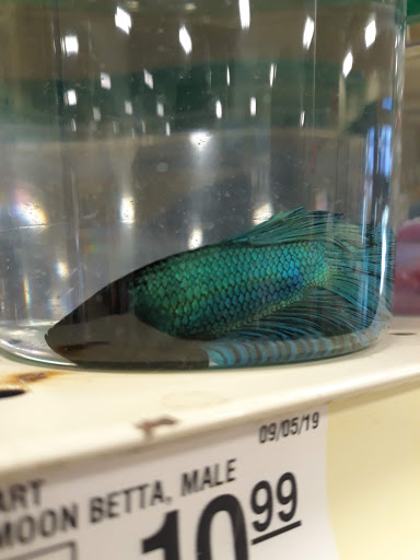 Pet Supply Store «PetSmart», reviews and photos, 2685 W Hillcrest Dr, Thousand Oaks, CA 91320, USA