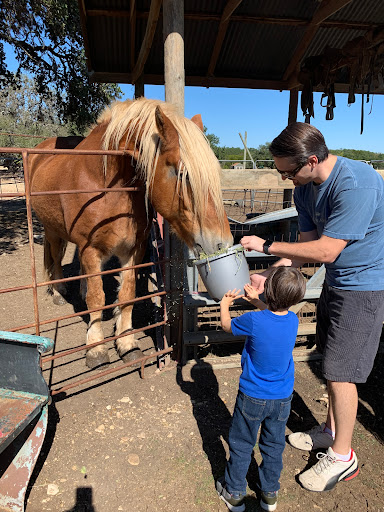 Pony Ride Service «The Farmyard», reviews and photos, 30250 Leroy Scheel Rd, Bulverde, TX 78163, USA