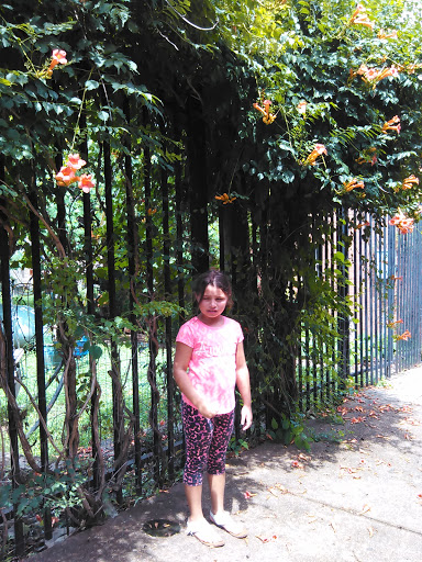 Antique Store «Downtown Antiques Mall», reviews and photos, 1 Court Square, West Plains, MO 65775, USA