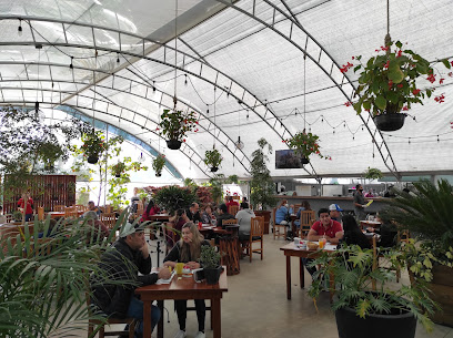 La Planteria Vivero Cafe Bosques - Blvrd Bosques de Sta Anita 1287-C, Bosques de Santa Anita, 45640 Jal., Mexico