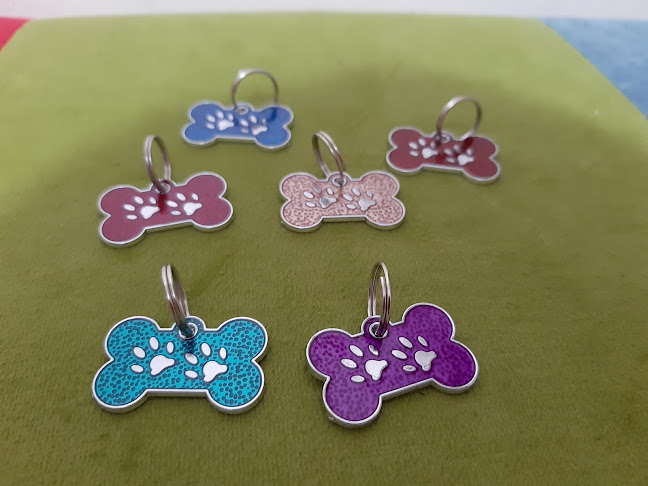 Moly collares para mascotas