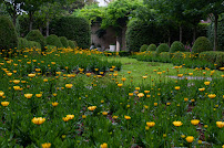 Sunrise Art & Product Photography - Photo 5 - Car repair in , Ann Arbor