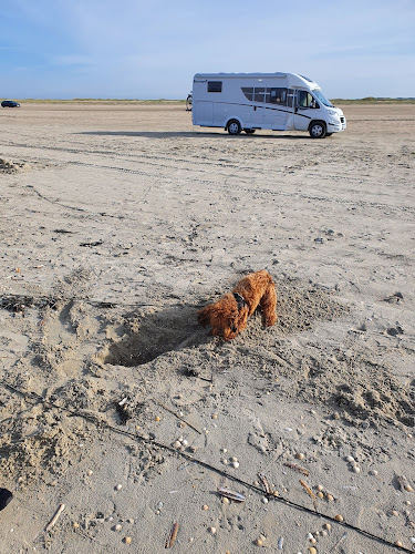 NCJeppesen Autocamper Udlejning - Bilforhandler