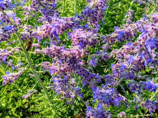 Home Improvement Store «The Home Depot», reviews and photos, 5500 AZ-69, Prescott Valley, AZ 86314, USA