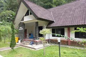 Pusat Suaka Satwa Elang Jawa (PSSEJ) image