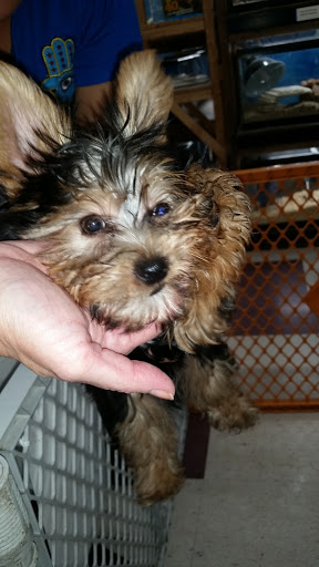 Pet Store «Salisbury Super Pet», reviews and photos, 329 Civic Ave, Salisbury, MD 21804, USA