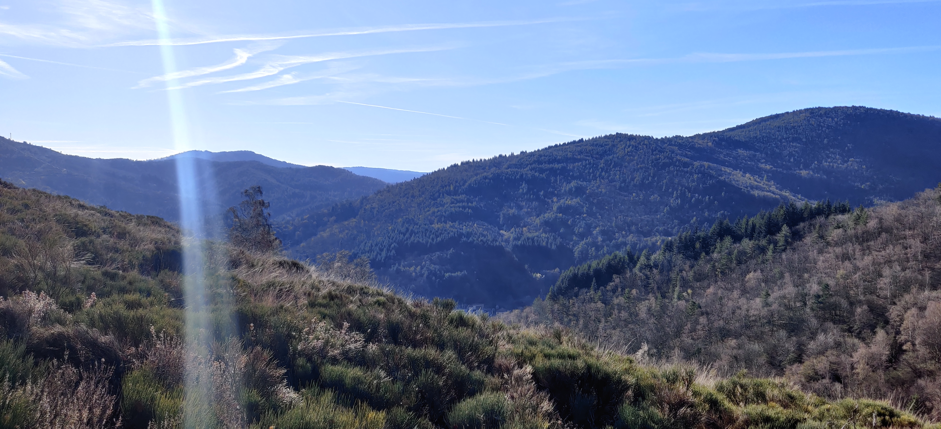 Photo n° 2 de l'avis de J.A..' fait le 16/04/2022 à 14:42