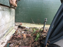 Parker Eco Pest Control - Photo 9 - Car repair in Seattle, WA, Seattle