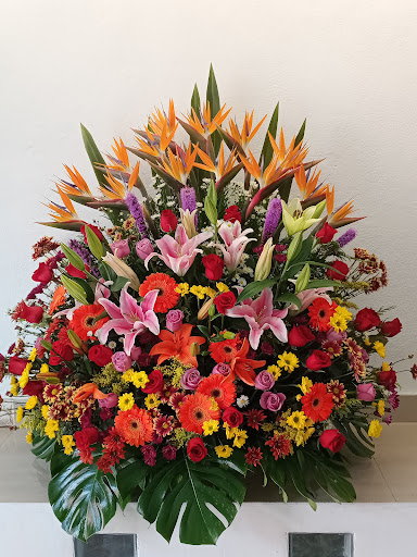 Florería Mérida florería en  en la zona Centro