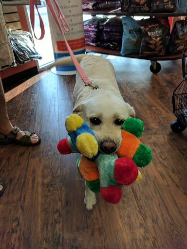 Pet Supply Store «EarthWise Pet Supply», reviews and photos, 7316 Yankee Rd, Liberty Township, OH 45044, USA