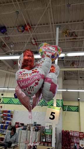 Dollar Store «Dollar Tree», reviews and photos, 1031 E Oakton St, Des Plaines, IL 60018, USA