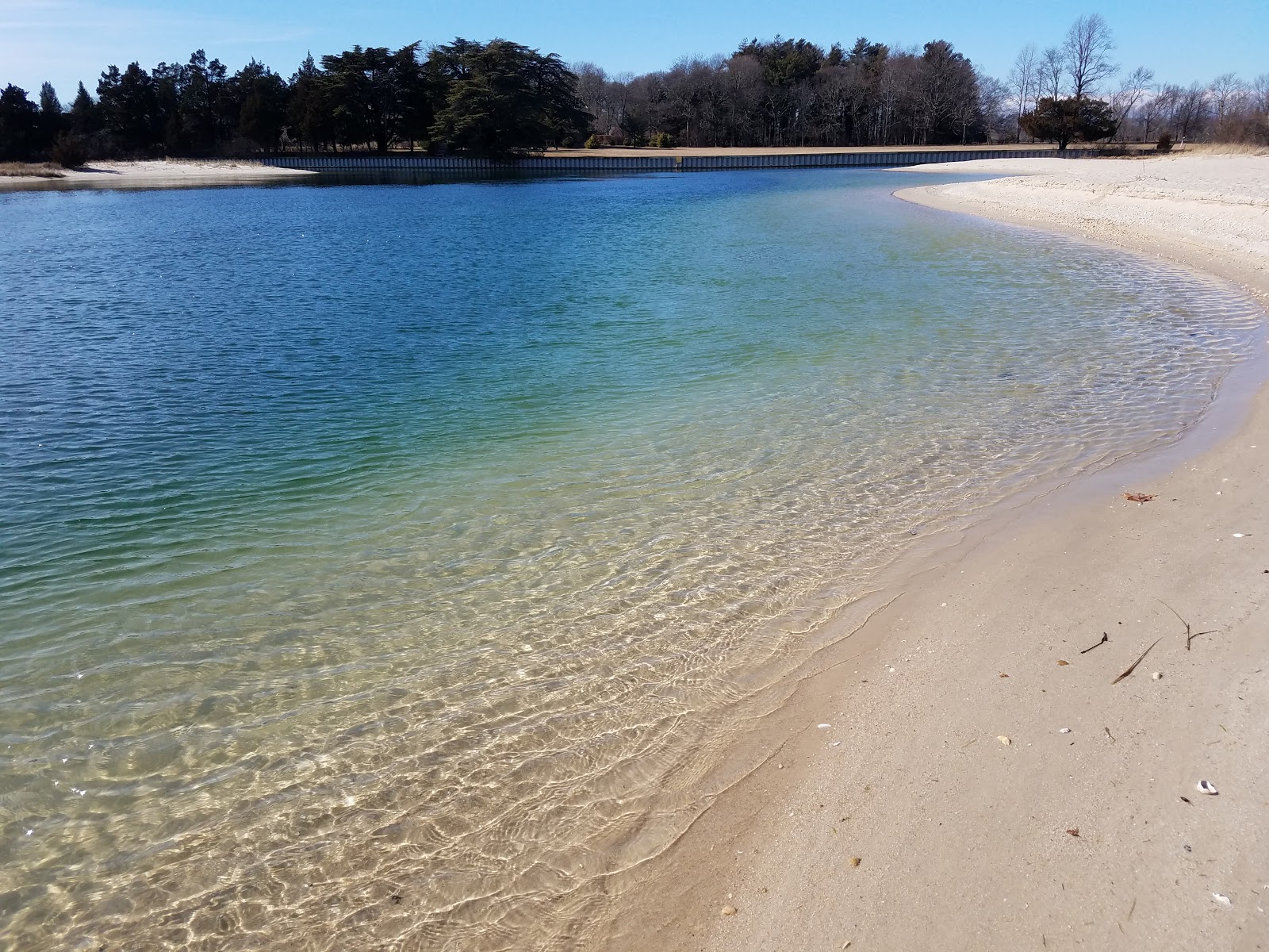 Photo de Emerson Park avec l'eau cristalline de surface