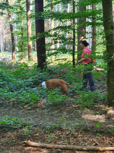 Hundeschule Hundeliebe Silke Berges - Freienbach