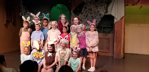 Performing Arts Theater «Steel Beam Theatre», reviews and photos, 111 W Main St, St Charles, IL 60174, USA