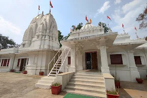 Bindrabin Tadkeshwar mahadev Temple image