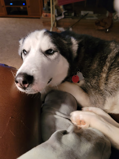 5431 State Rd, Cleveland, OH 44134, USA