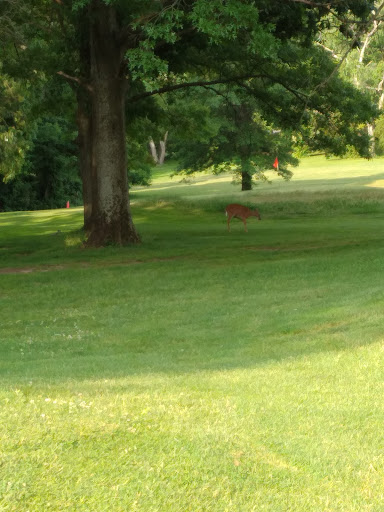 Golf Course «Christopher Morley Park Golf», reviews and photos, 500 Searingtown Rd, Roslyn, NY 11576, USA