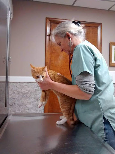 North Shore Veterinary Hospital image