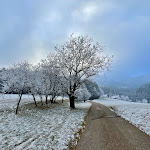Photo n°1 de l'avis de Judith.r fait le 14/01/2024 à 22:50 sur le  Elztalhotel à Winden im Elztal