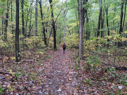 Glenwood Dunes Trailhead