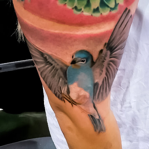 Body Piercing Shop «Ink Fever Tattoos and Body Piercing», reviews and photos, 5576 Mission Boulevard, Riverside, CA 92509, USA