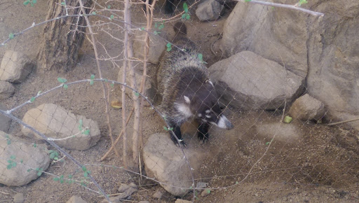 Foundation «The Henry Doorly Zoo», reviews and photos, 3701 S 10th St, Omaha, NE 68107, USA