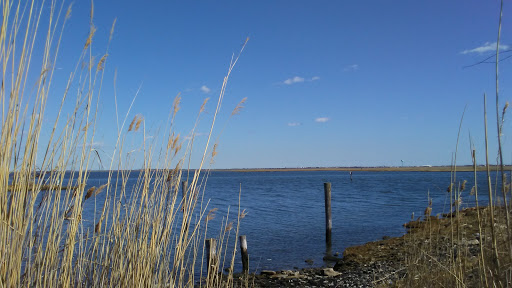 Golf Club «The Golf Club at Middle Bay», reviews and photos, 3600 Skillman Ave, Oceanside, NY 11572, USA