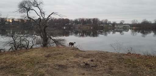 Park «Van Buren Park Beach», reviews and photos, 50901 S Interstate 94 Service Dr, Belleville, MI 48111, USA