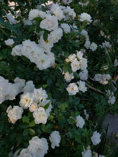 Shoe Store «SKECHERS Factory Outlet», reviews and photos, 711 W 2nd St, San Bernardino, CA 92410, USA