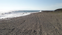 Aylin camping beach'in fotoğrafı biraz temiz temizlik seviyesi ile