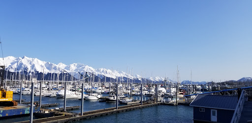 Bus Tour Agency «Rek Travel, LLC», reviews and photos, 5825 W Irving Park Rd, Chicago, IL 60634, USA