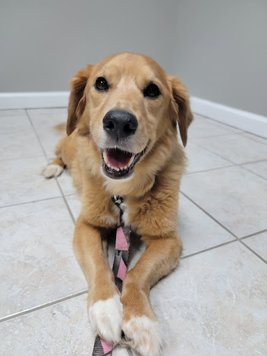 Dr. Roger D. Beam image