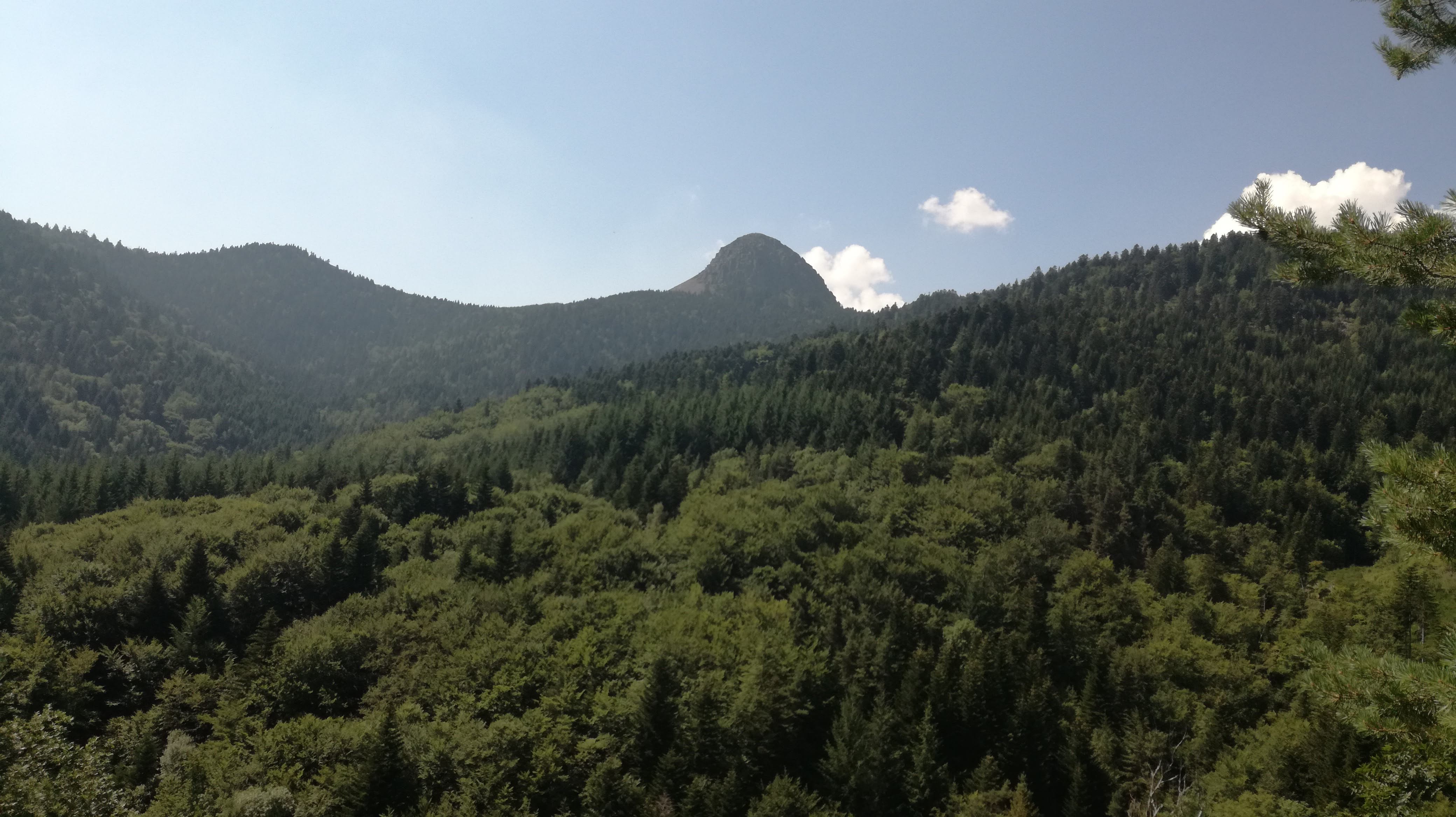 Photo n° 1 de l'avis de Thierry.i fait le 31/07/2018 à 12:45