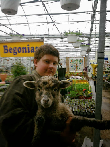 Florist «St. Clair Greenhouses & Florist», reviews and photos, 7043 Big Hand Rd, St Clair, MI 48079, USA